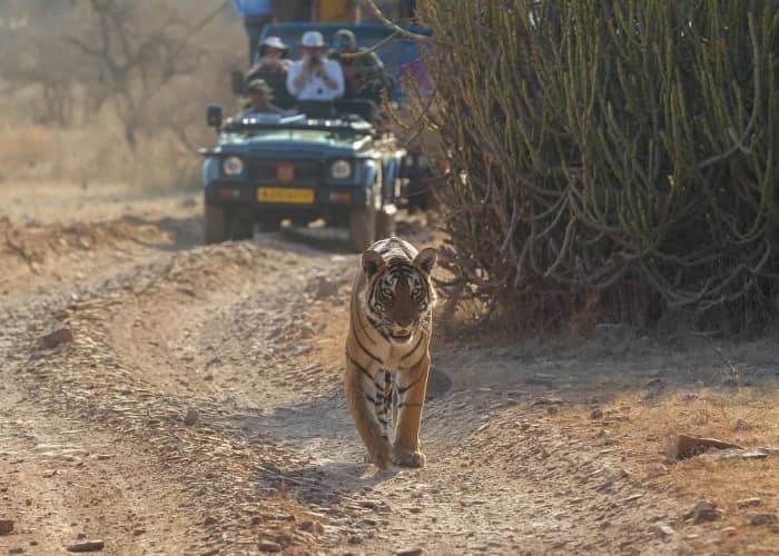 rajasthan