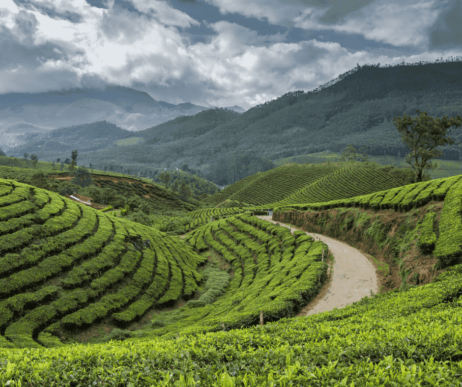 kerala