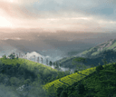 Munnar