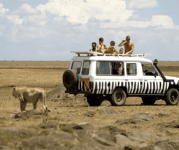 Thrilling Game Safari in the Iconic Masai Mara