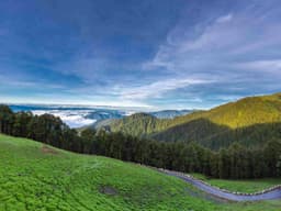 Visit to Jalori Pass & Trek Further to 360 Degree Viewpoint & Serolsar Lake