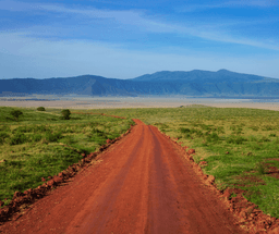 Afternoon Game Drive at Ngorongoro Crater