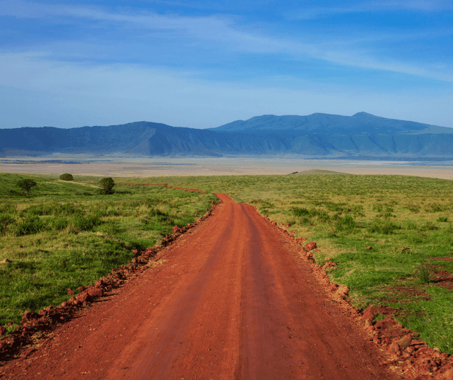 Afternoon Game Drive at Ngorongoro Crater