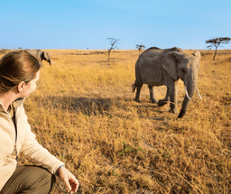 Morning Wildlife Safari Before Departure