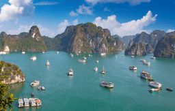 Halong Bay Day Cruise with Lunch Onboard