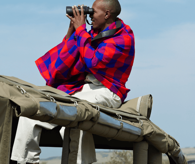 Thrilling Game Safari in the Iconic Masai Mara