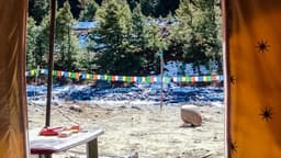 The Himalayan Tribe Camps