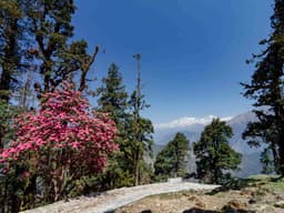Tungnath Chandrashila Trek