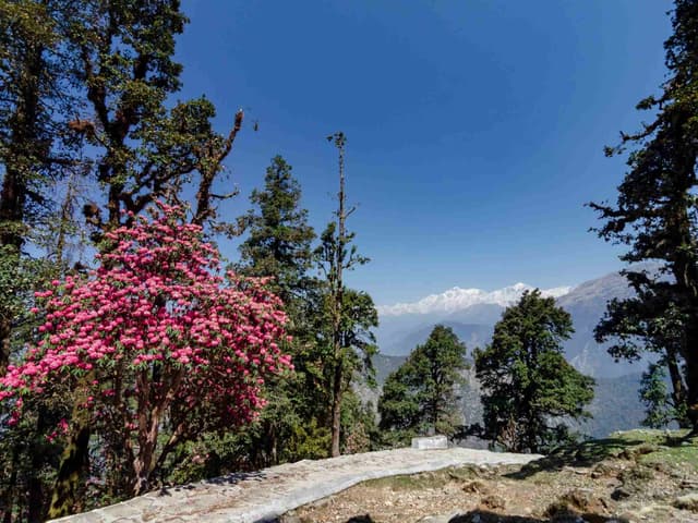 Tungnath Chandrashila Trek