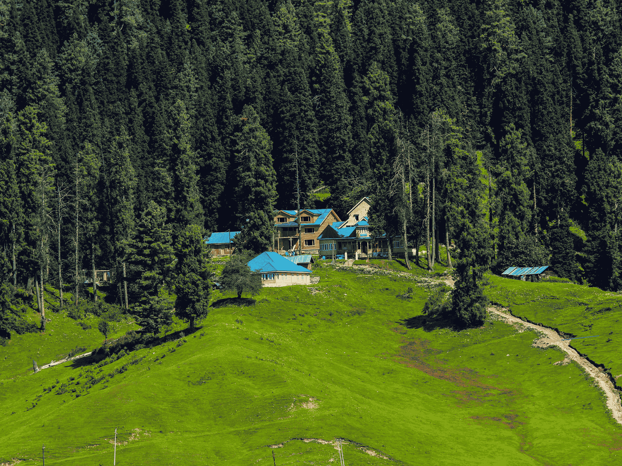 Kashmir