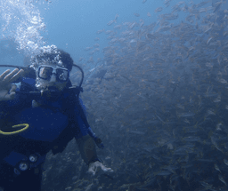 Daymaniyat Islands Snorkeling Adventure