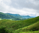 Thekkady