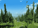 Gulmarg