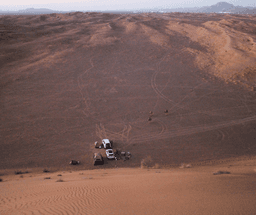 Zoo Adventure & Sunset Safari in Wahiba Sands