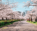Osaka