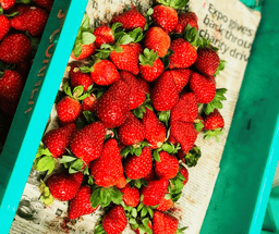 Cameron Highlands Nature & Farm Tour