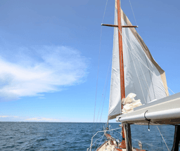 Daymaniyat Islands Snorkeling Adventure