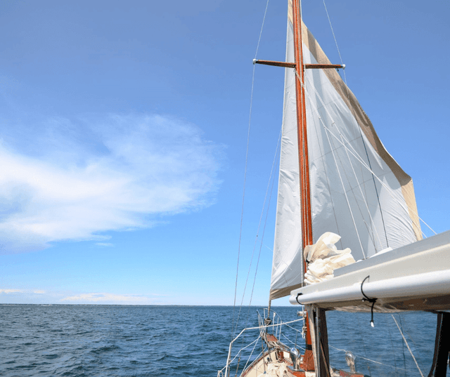 Daymaniyat Islands Snorkeling Adventure