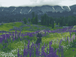 Sightseeing in Gulmarg