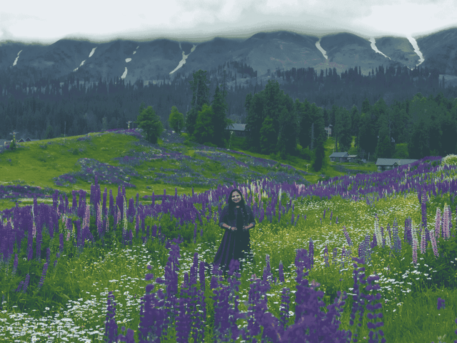 Sightseeing in Gulmarg