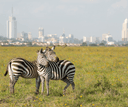 Nairobi