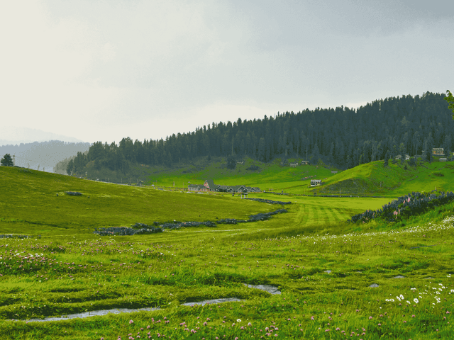 Sightseeing in Gulmarg