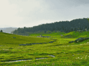 Gulmarg