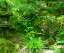 Hakone