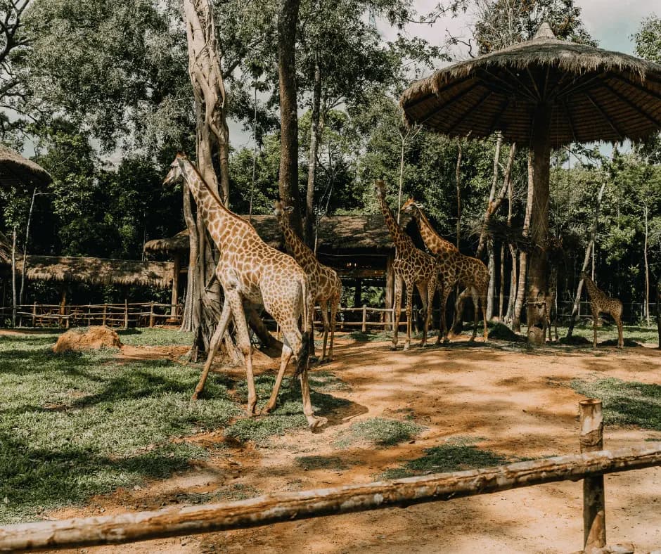 Moonlit Sanctuary Wildlife Conservation Park