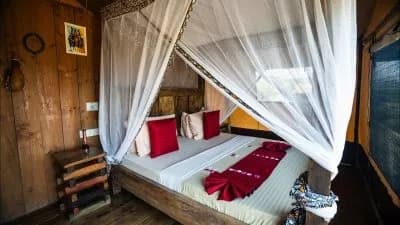Africa Safari Lake Natron