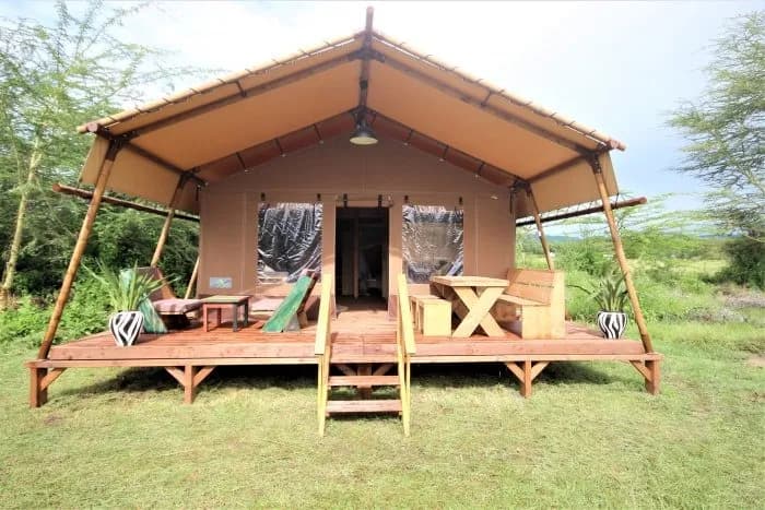 Africa Safari Lake Natron