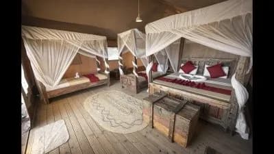 Africa Safari Lake Natron