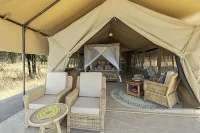 Africa Safari South Serengeti