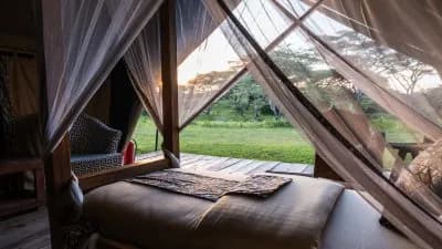 Africa Safari South Serengeti