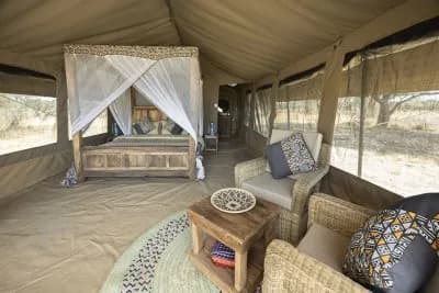 Africa Safari South Serengeti