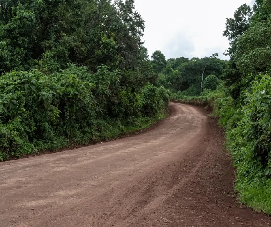 Game drives