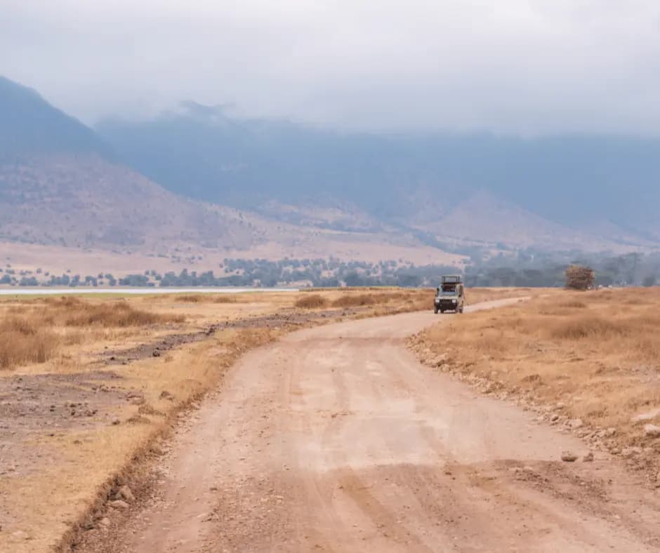 Game drives