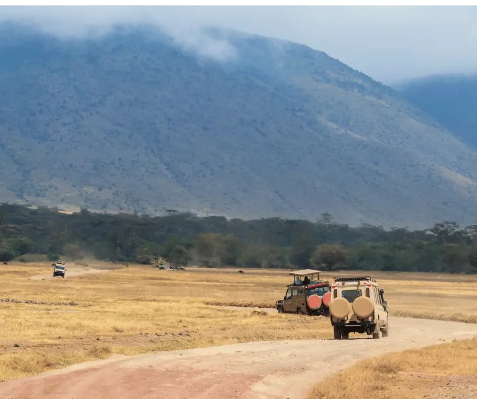 Game drives
