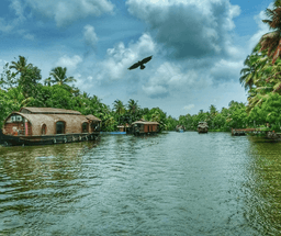 Alleppey Backwaters & Coastal Tour