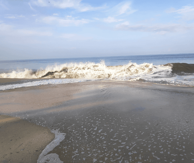 Alleppey Backwaters & Coastal Tour