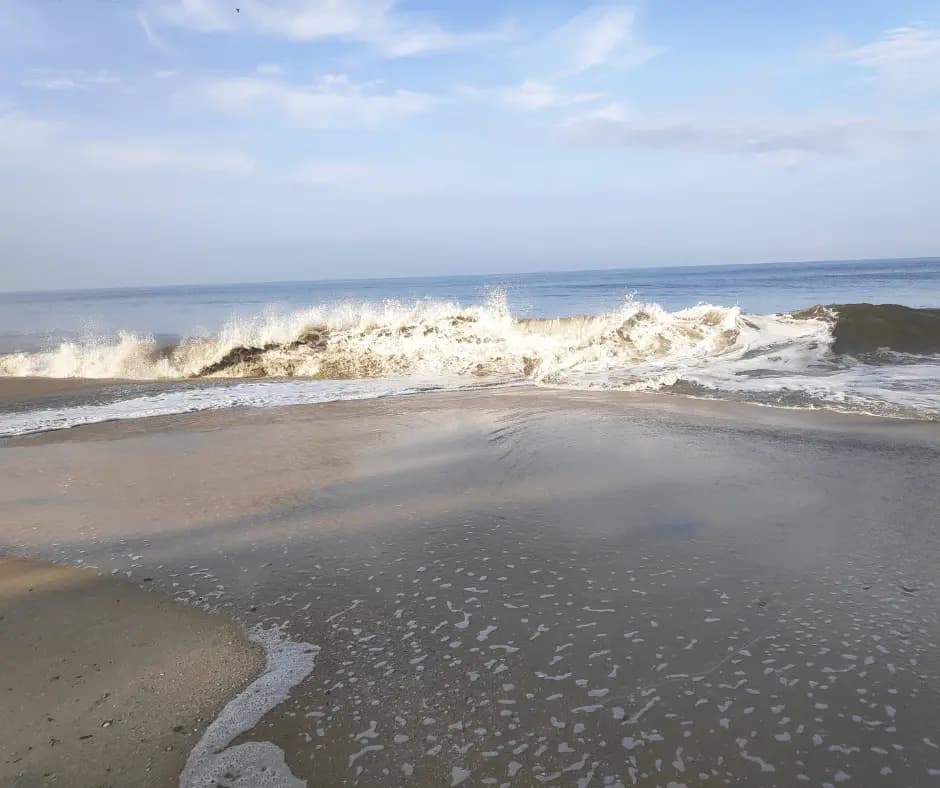  Alleppey Beach