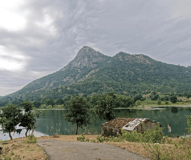 City Palace Visit & Rayta Hills Excursion