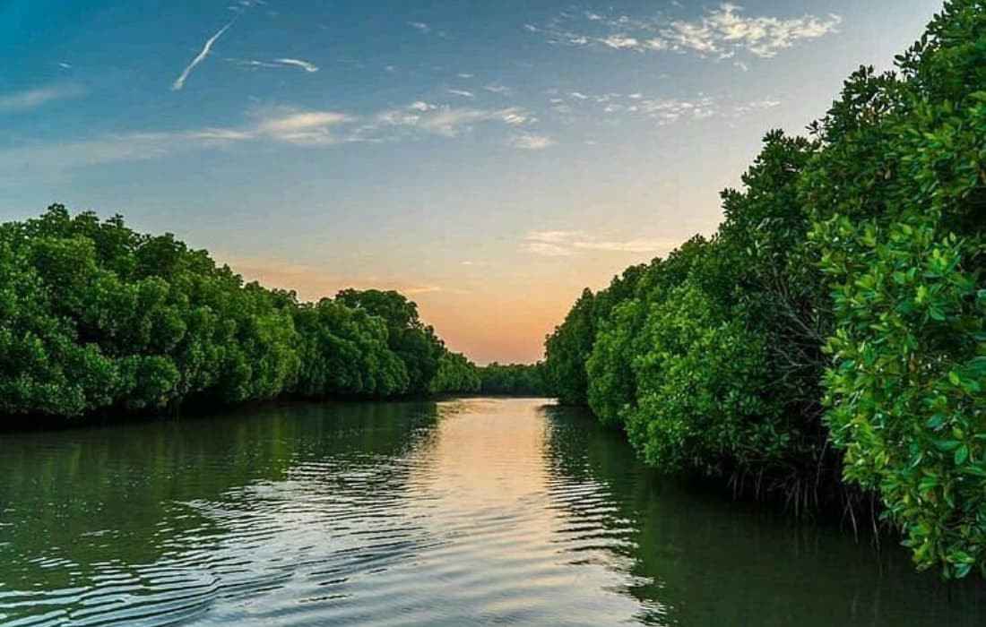 Maadu River Ride