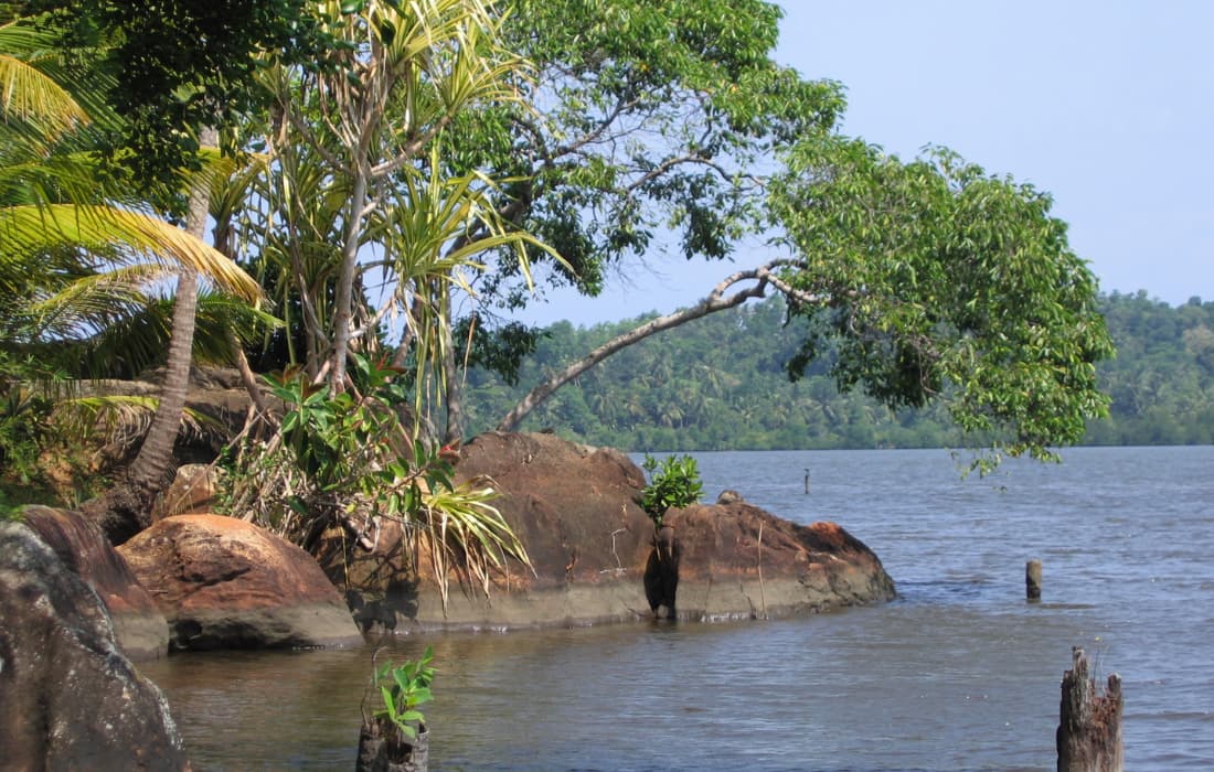 Maadu River Ride