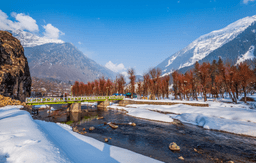 Sightseeing in Pahalgam