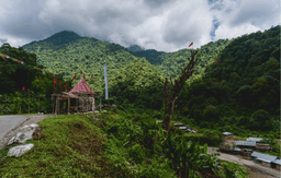Scenic Drive from Bhalukpong to Dirang