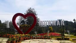 Munnar Hills & Nature Highlights Tour