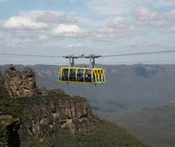 Sydney Zoo and Scenic World Exploration