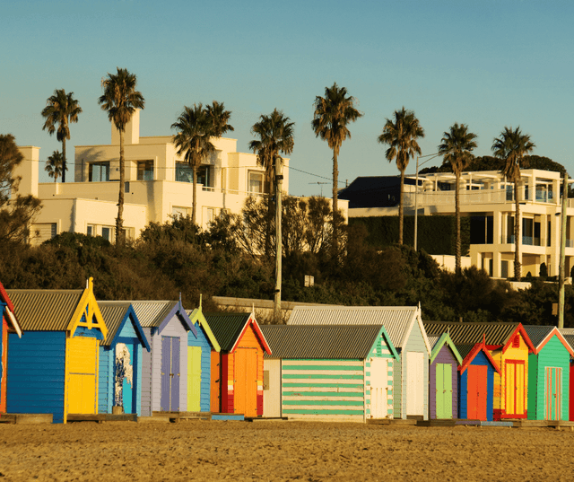 A Day of Wildlife, Coastlines & Penguins