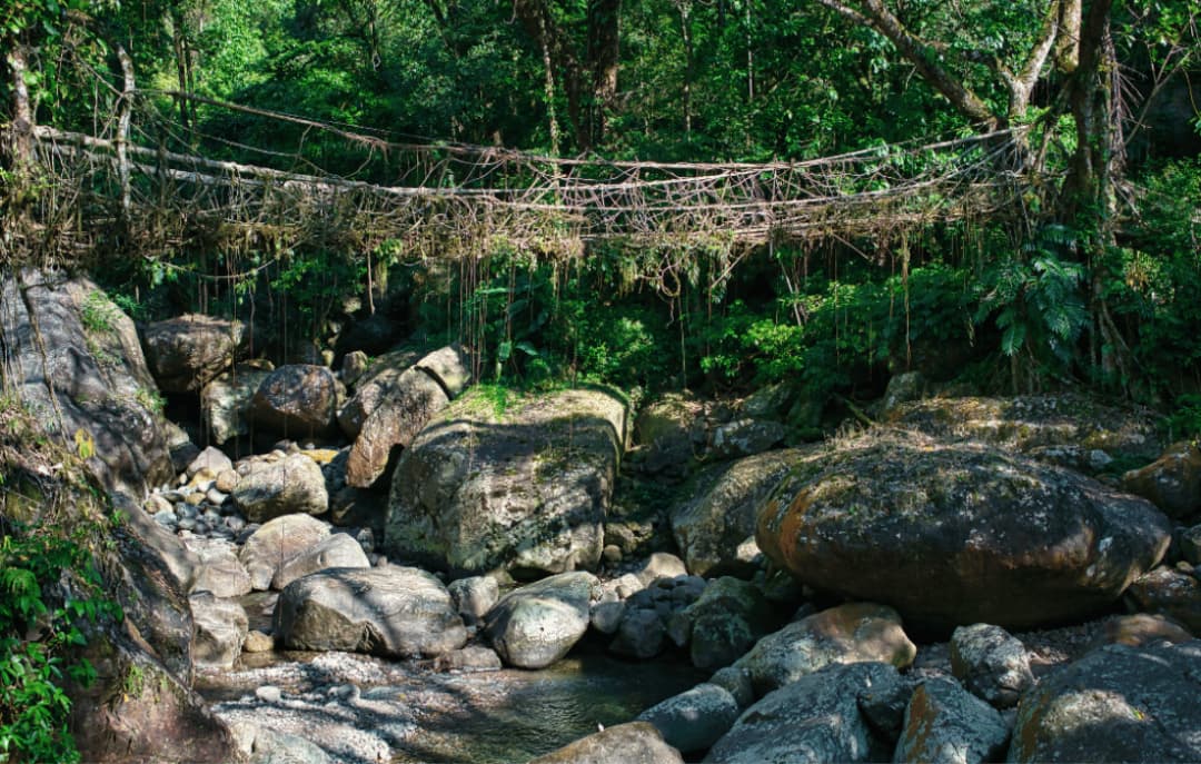Cherrapunji